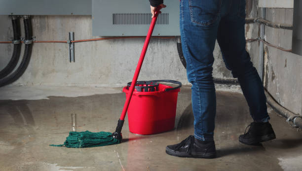 Best Flood restoration services  in Falls City, NE