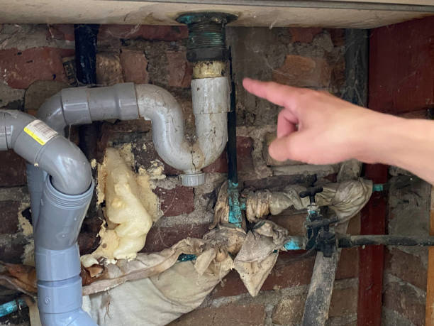 Best Water damage restoration cost  in Falls City, NE
