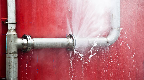Best Water damage contractors near me  in Falls City, NE